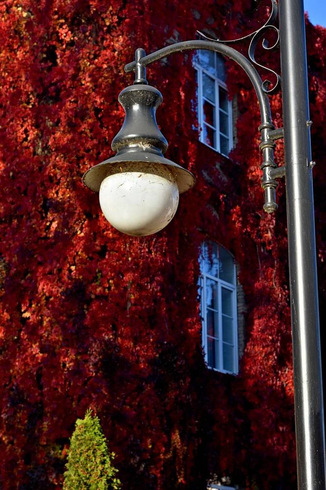 Photograph by Alexey Smal