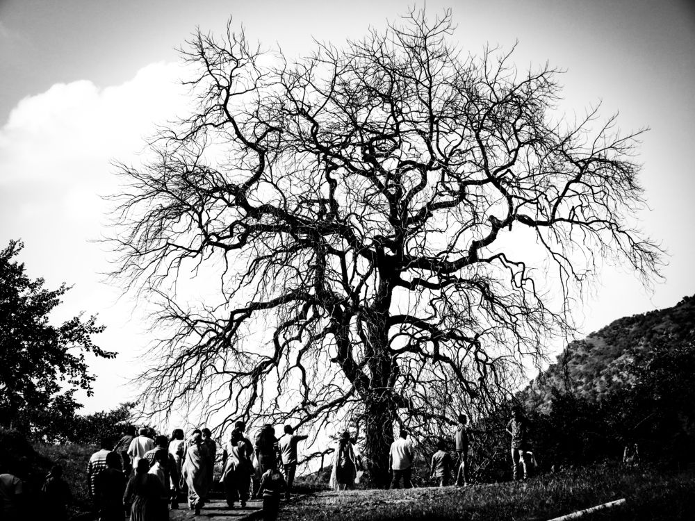 Photograph by Susmita Paul