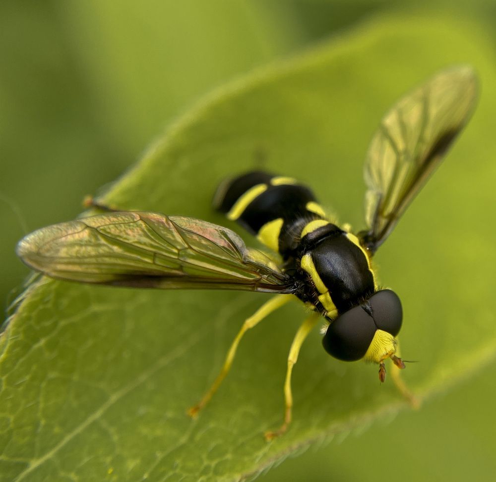 Photograph by Юлия Шустикова