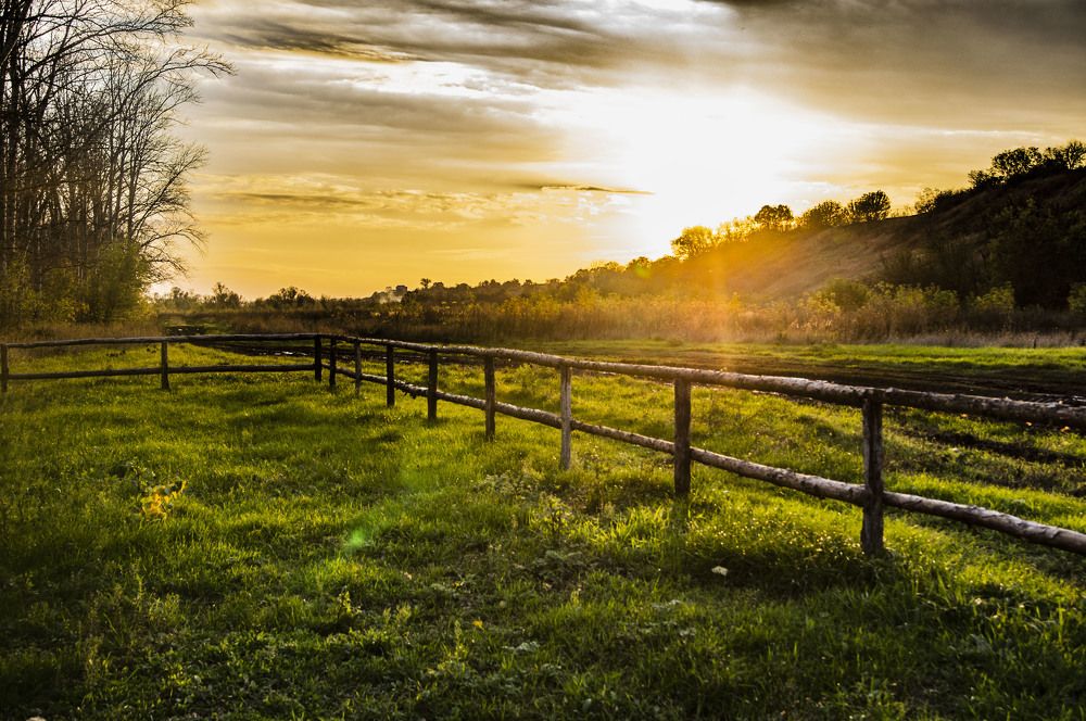 Photograph by Александр Натальин