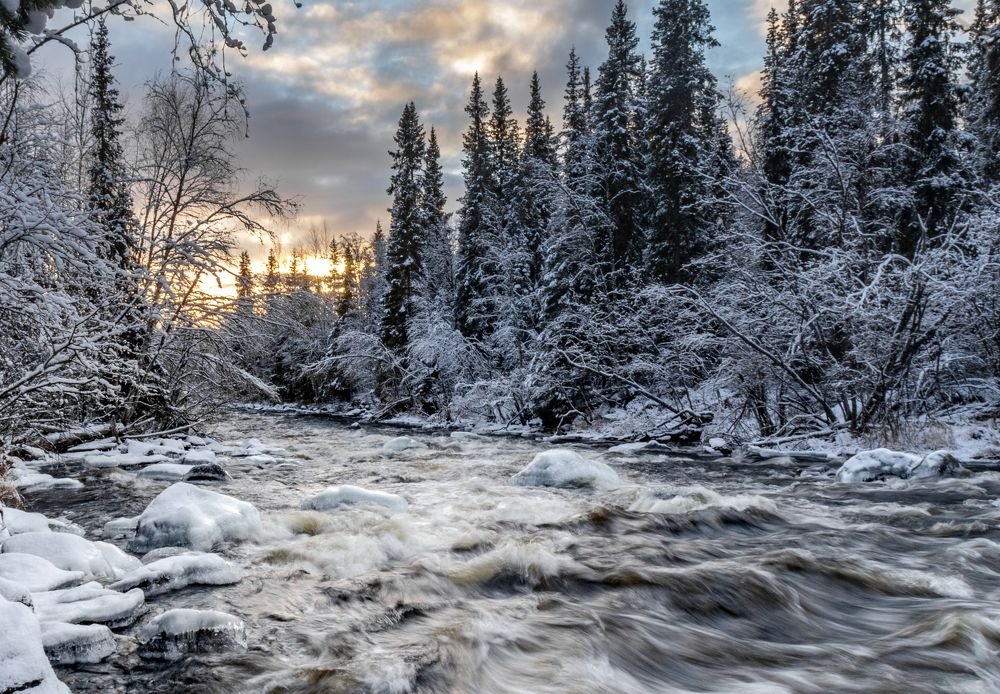 Photograph by Ирина Крепак