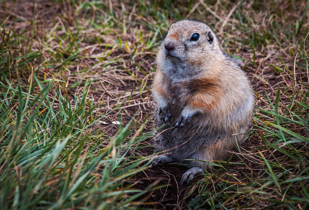 Photograph by Толян Бууулочкин