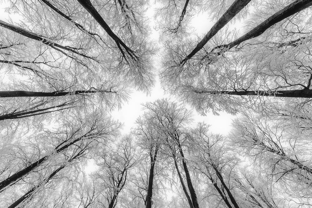 Photograph by Pavlasek Tom