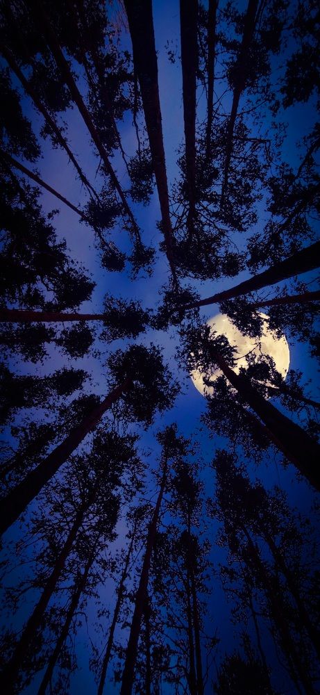 Photograph by Mar Kos