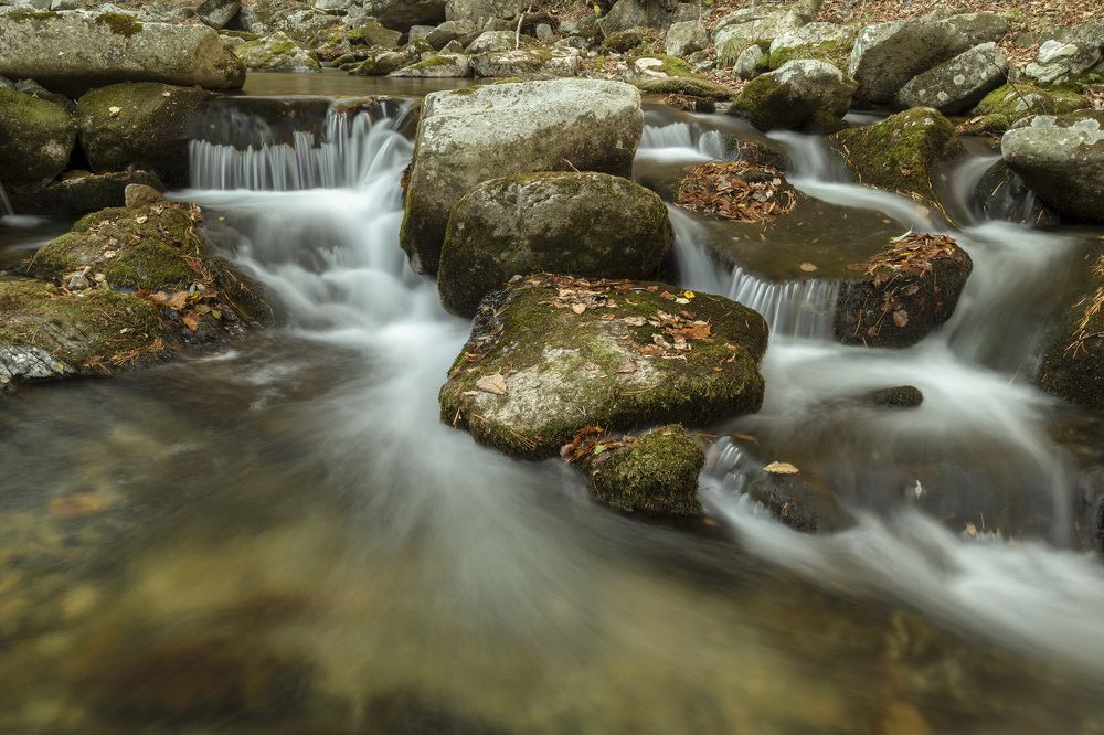 Photograph by ALEKSANDR KUZNETSOV