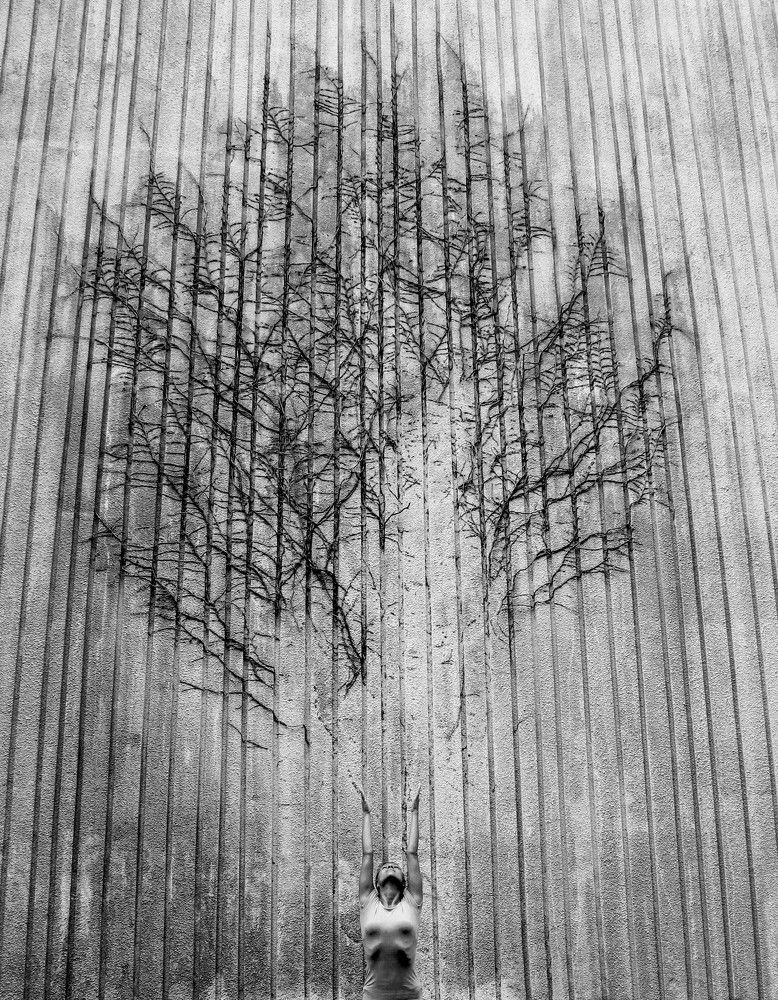 Photograph by DjoleNomad