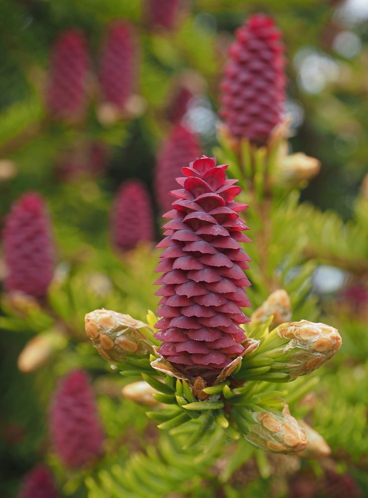 Photograph by Евгений Яковлев