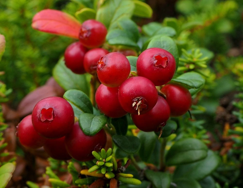 Photograph by Евгений Яковлев