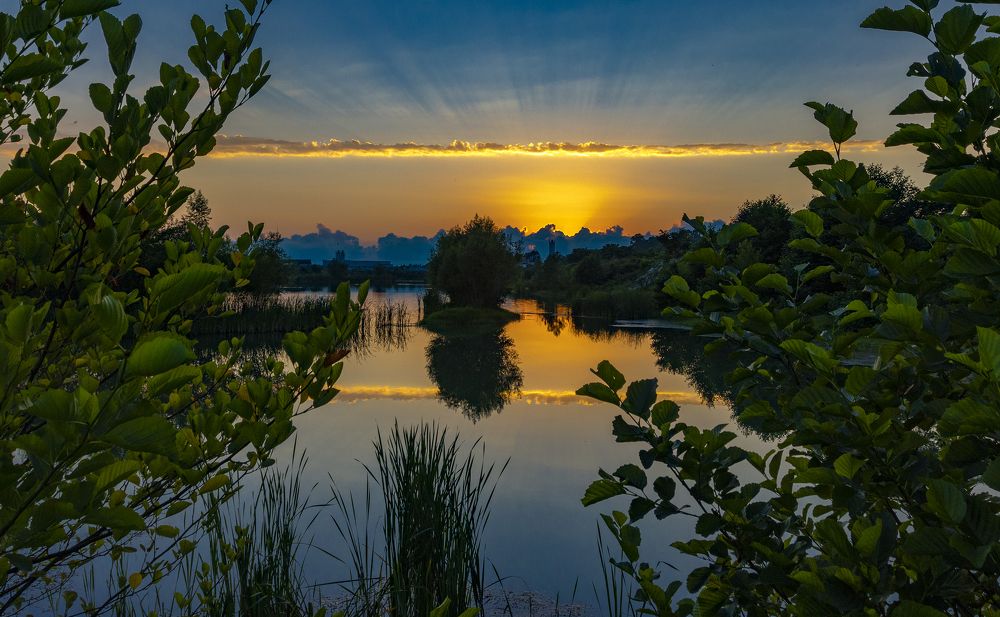 Photograph by Alex Kalpus