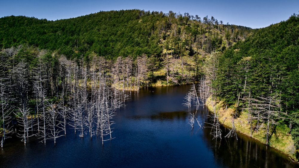 Фотография автора Вадим Бороненков