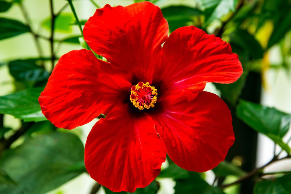 Photograph by Ivars Andrups