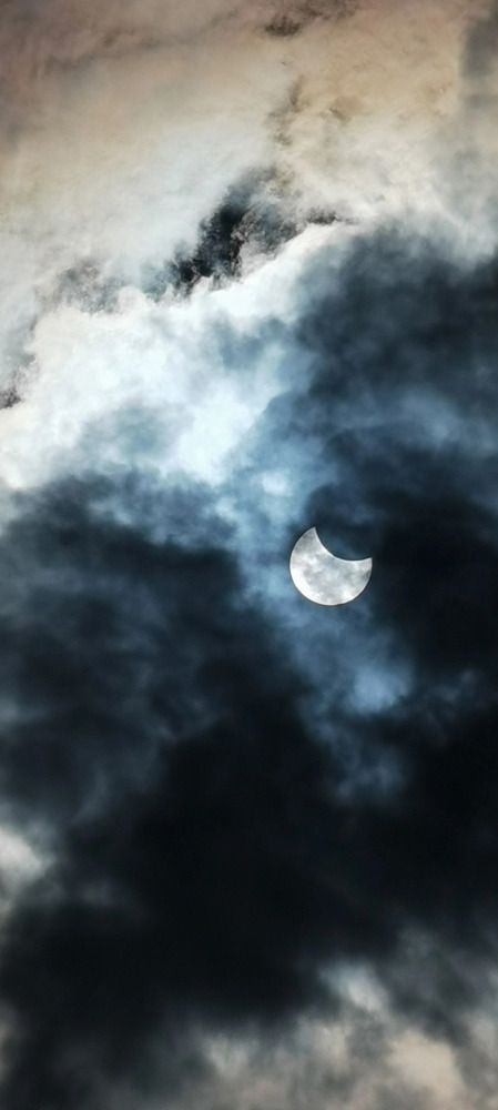 Photograph by Наталья Шаклеина