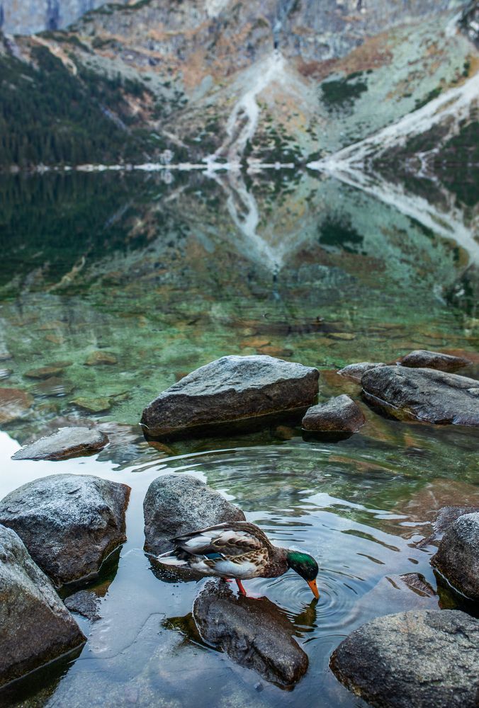 Photograph by Karolina Kozłowska