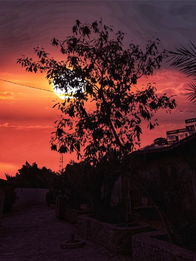 Photograph by Mohamed Omar Ziada