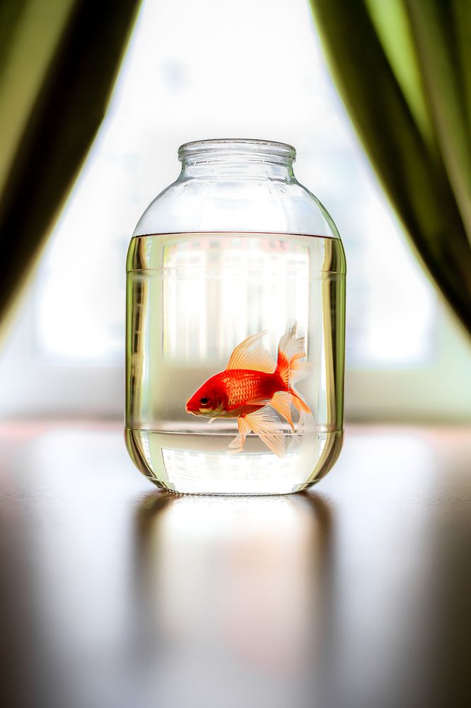 Photograph by Екатерина Нефедова