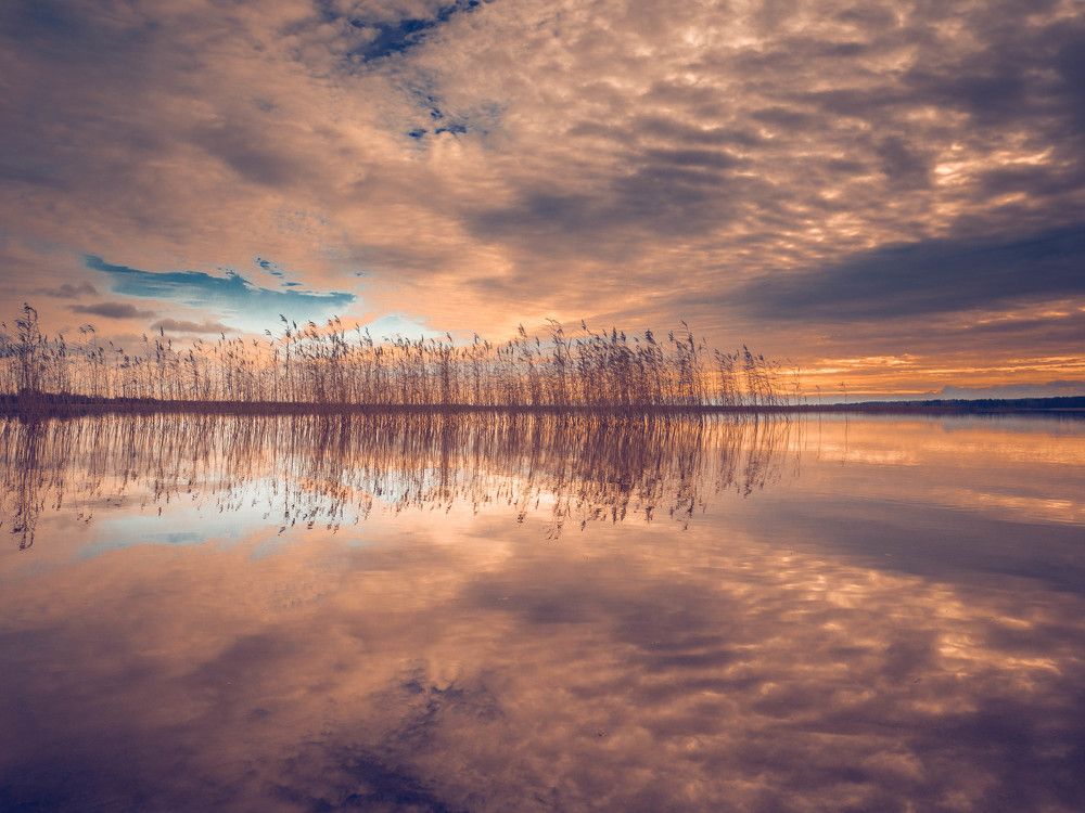 Photograph by Антон