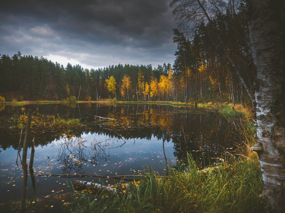 Photo #8361805
