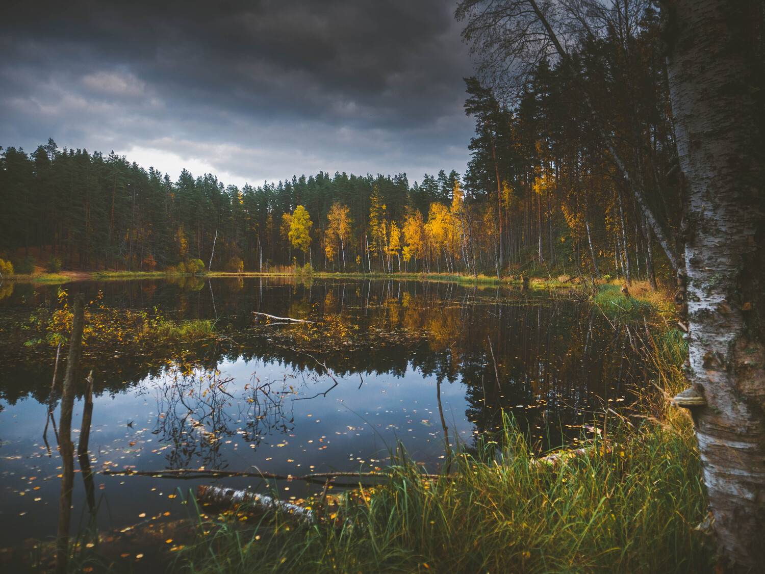 Photo #8361805