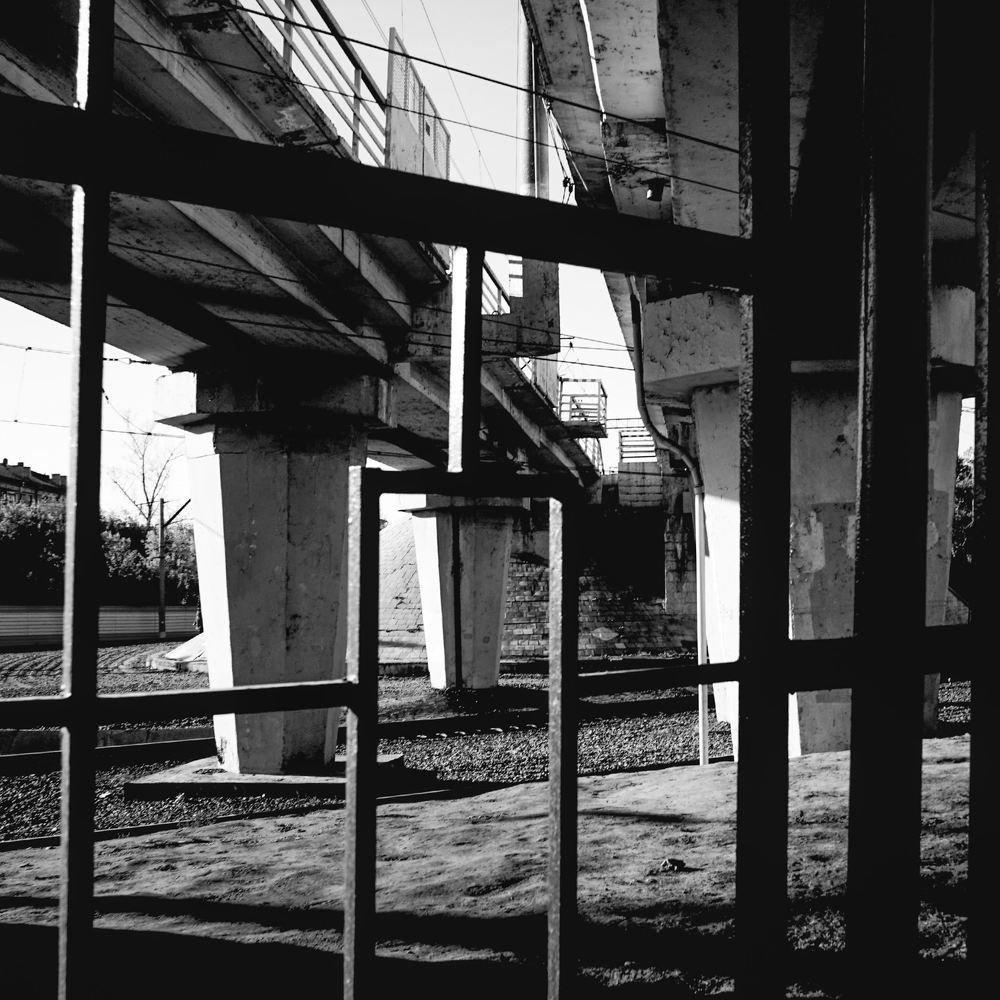 Фотография автора Максим Грибанов