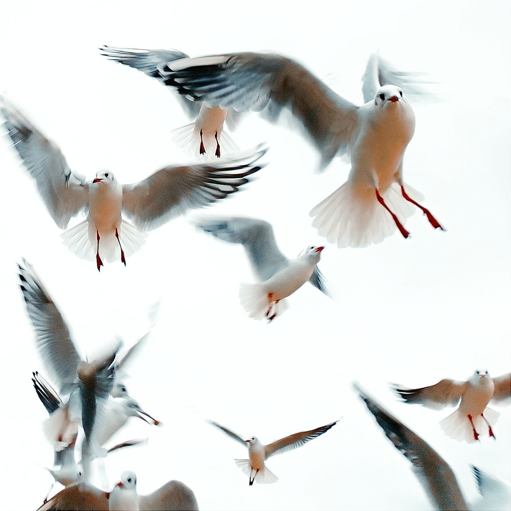 Photograph by Марина Хохрякова