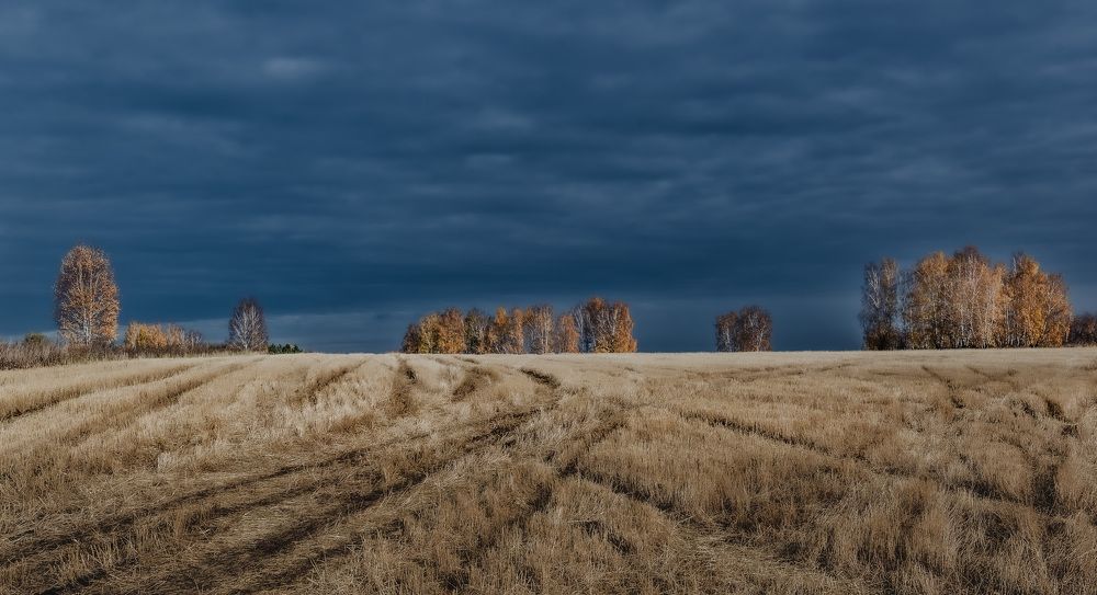 Photograph by Валерий Туманов