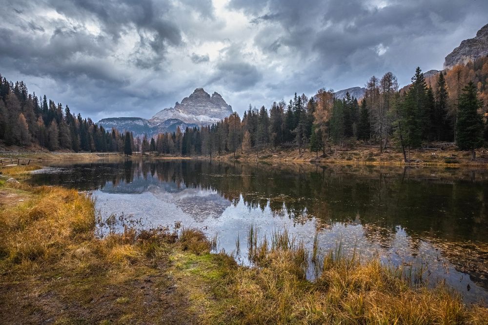 Photograph by Samir Kurtagić