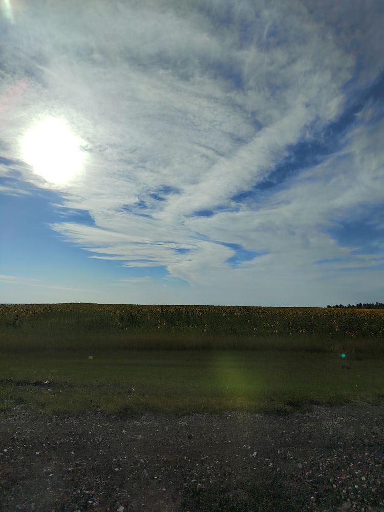 Фотография автора Юлия Лубкина