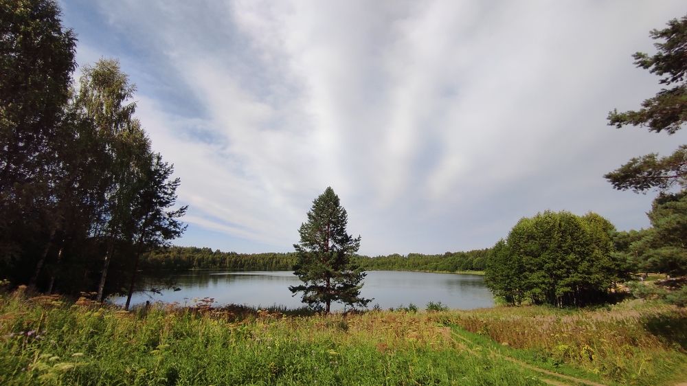 Photograph by Светлана Сафонова