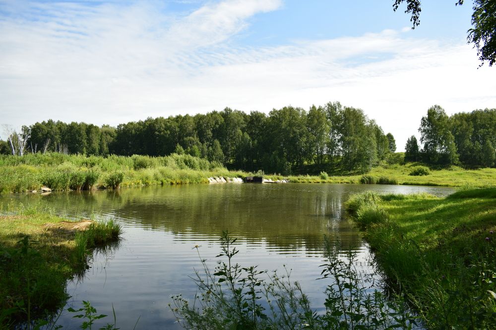 Photograph by Наталья Еременко