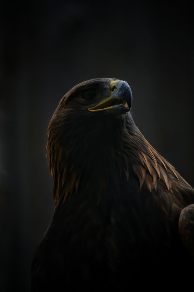 Photograph by Максим Ушенин