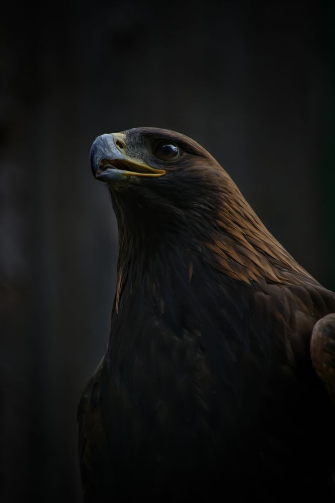 Photograph by Максим Ушенин