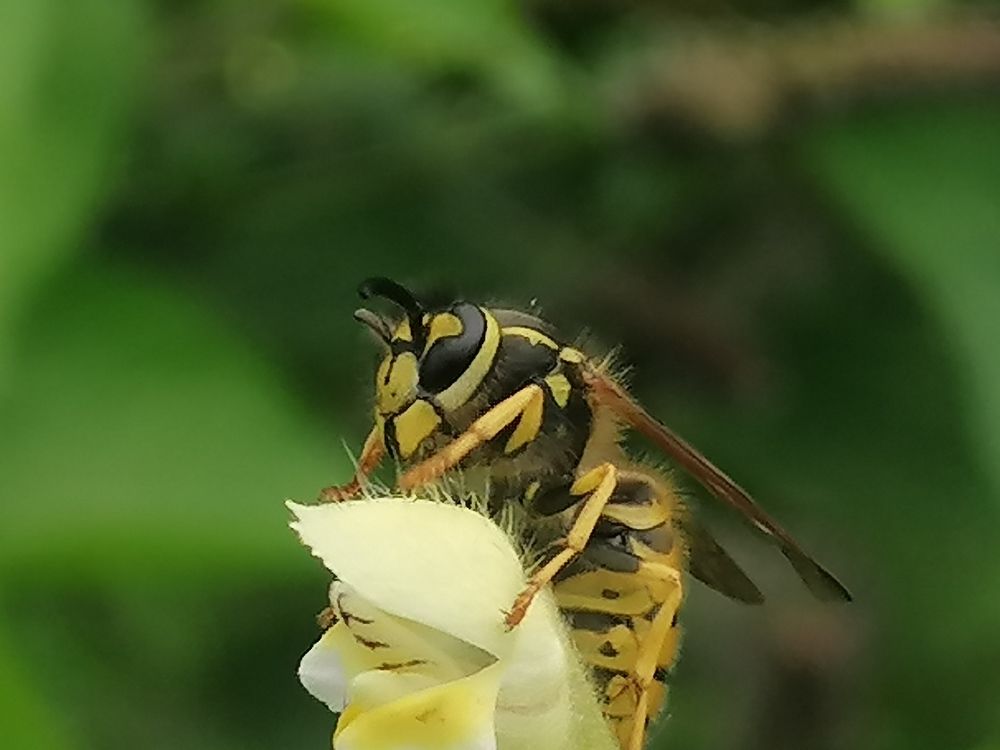Photograph by tanase nicolae