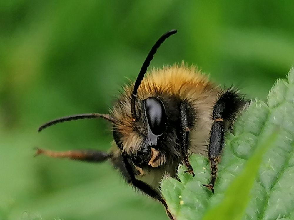 Photograph by tanase nicolae