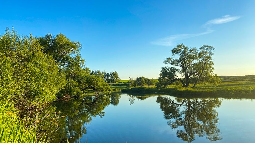 Фотография автора Илиза Майнурова