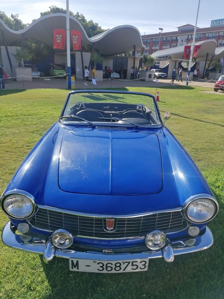 Photograph by tanase nicolae