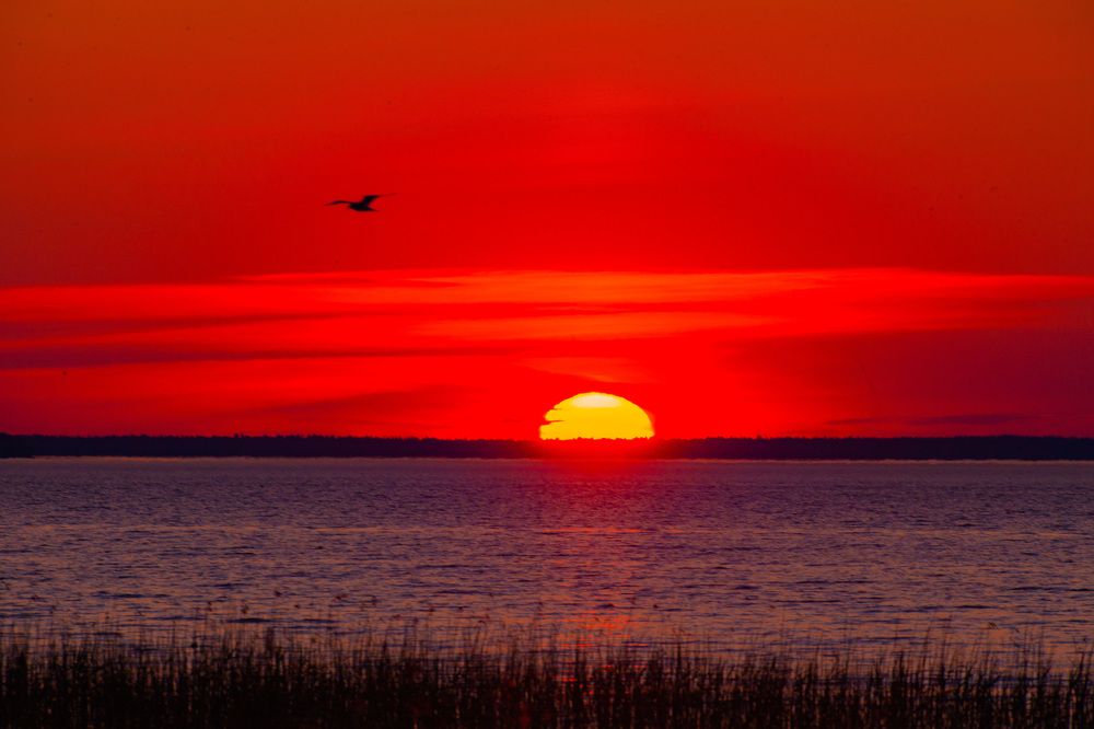 Photograph by Ольга Левакова