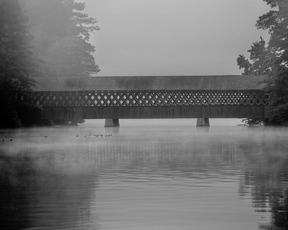 Photograph by Myles Barfield