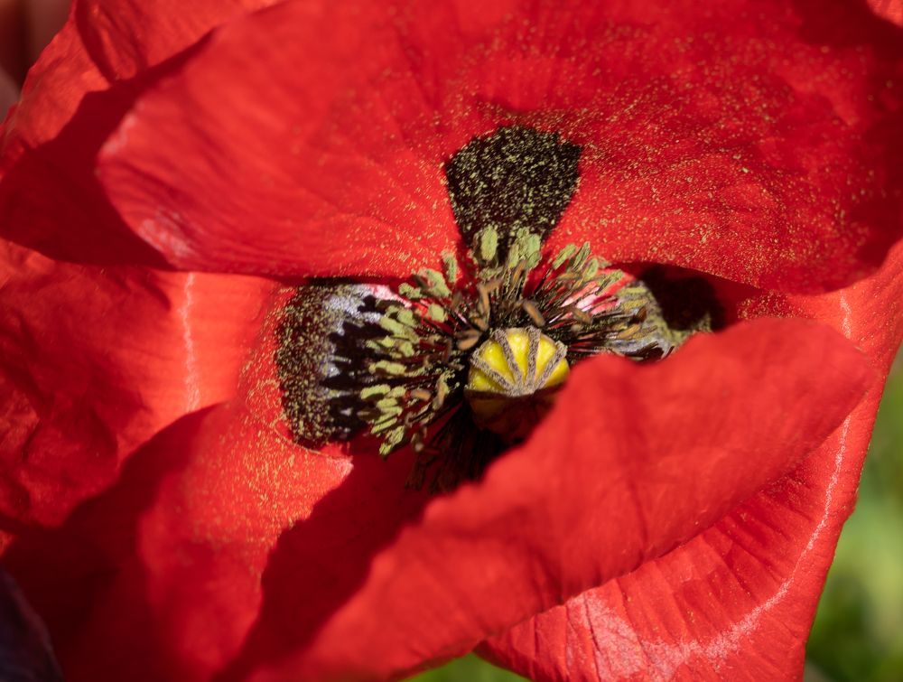 Photograph by Максимова Дария