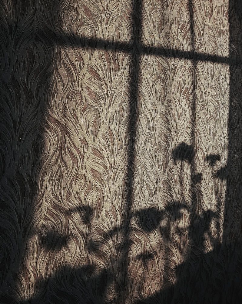 Photograph by MobigrafVDK