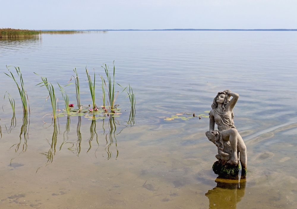 Photograph by Евгений Лацапнёв