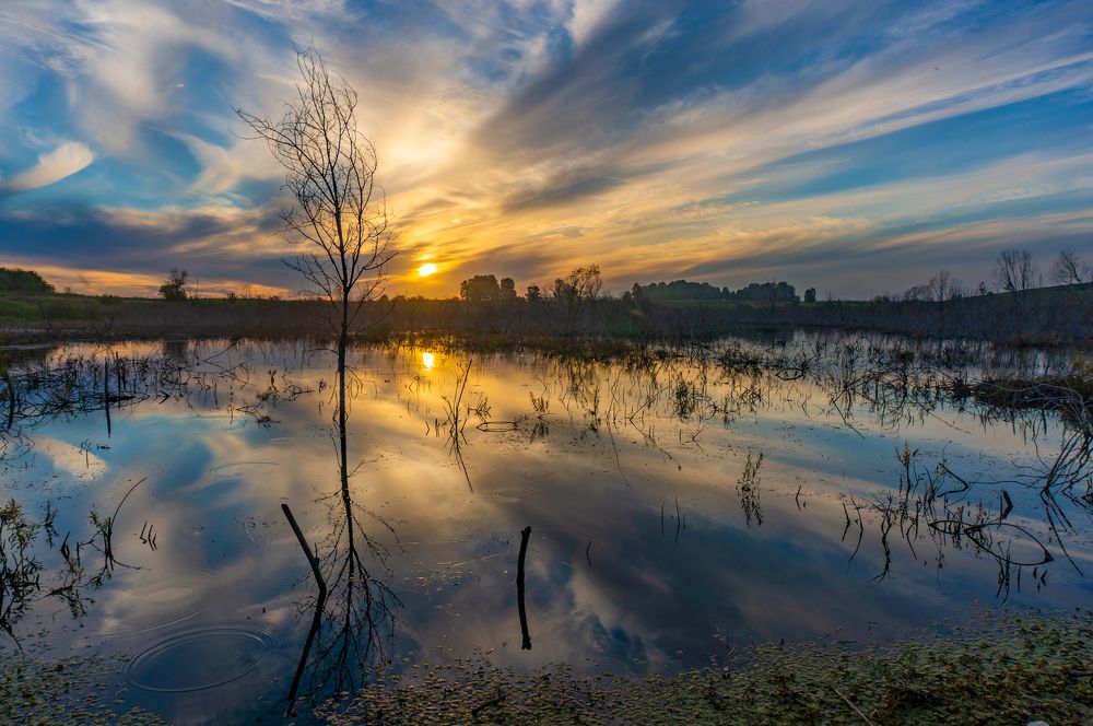Фотография автора Виталий Гавронский