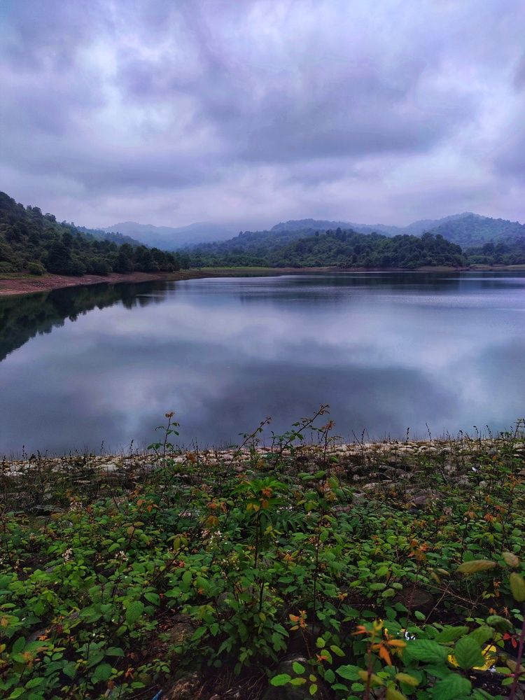 Photograph by mehdi shokravi