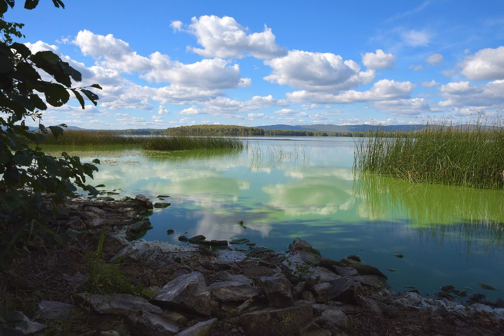 Фотография автора Александр Степочкин