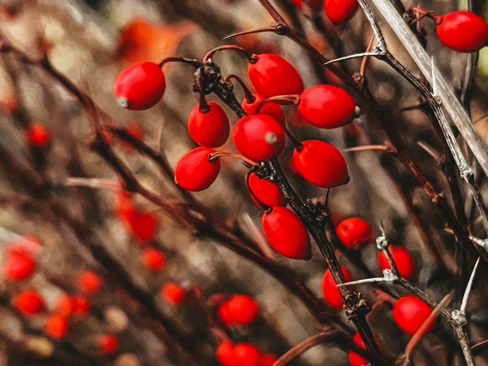 Фотография автора Юлия Недосекина