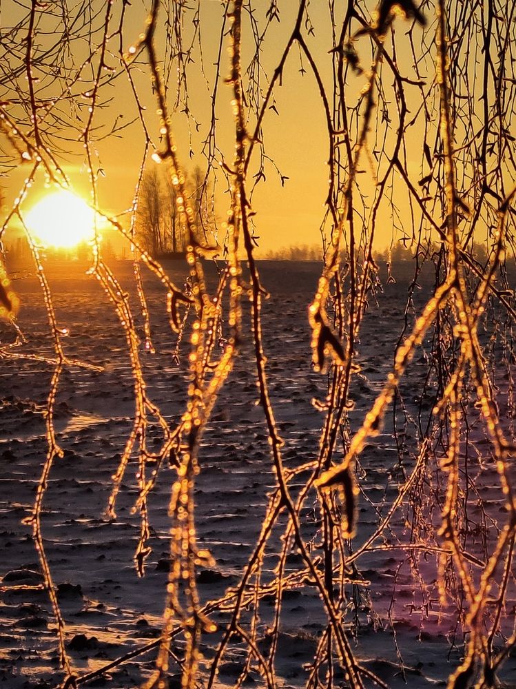 Photograph by Александр Кокурин