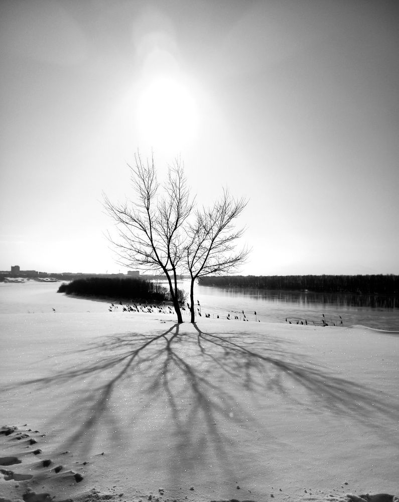 Фотография автора Дарья