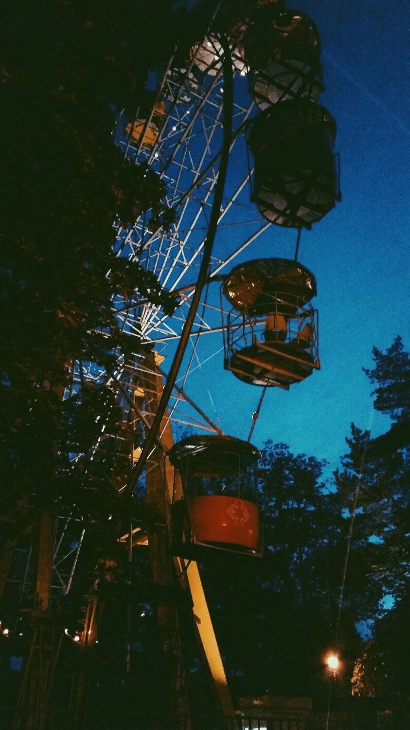 Photo #8362461