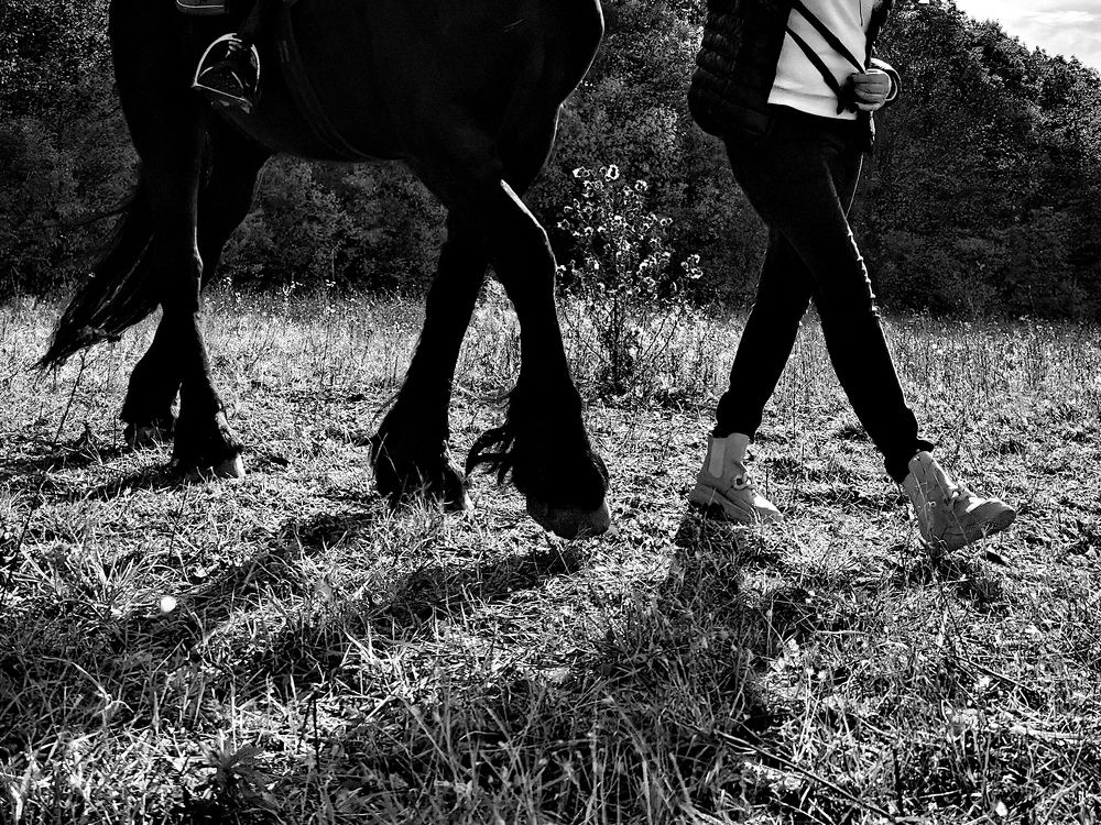 Photograph by Елена Мельник