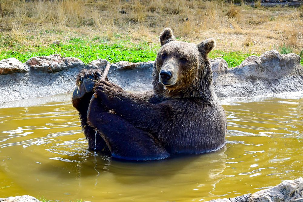 Photograph by Ivars Andrups