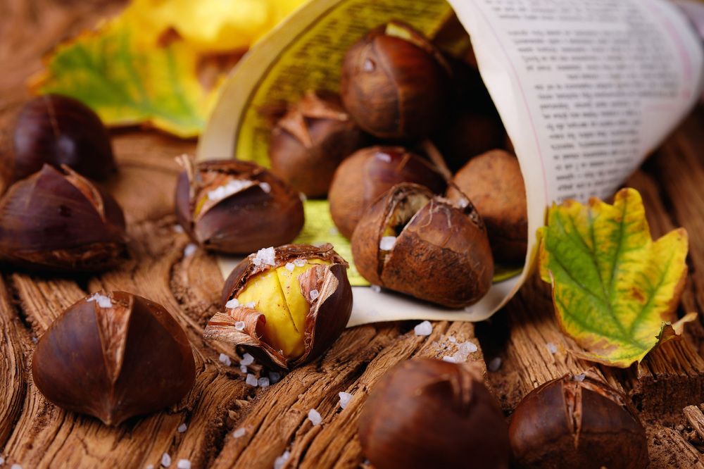 Фотография автора Igor Lukin